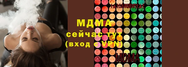 PSILOCYBIN Алзамай