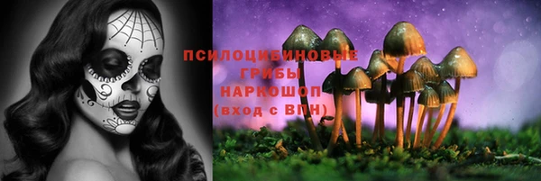 PSILOCYBIN Алзамай