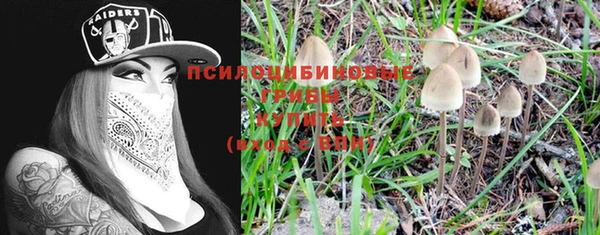 меф Алексин