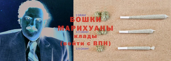 PSILOCYBIN Алзамай