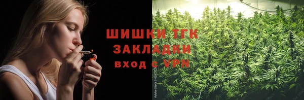 PSILOCYBIN Алзамай