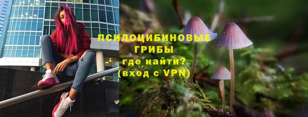 меф Алексин